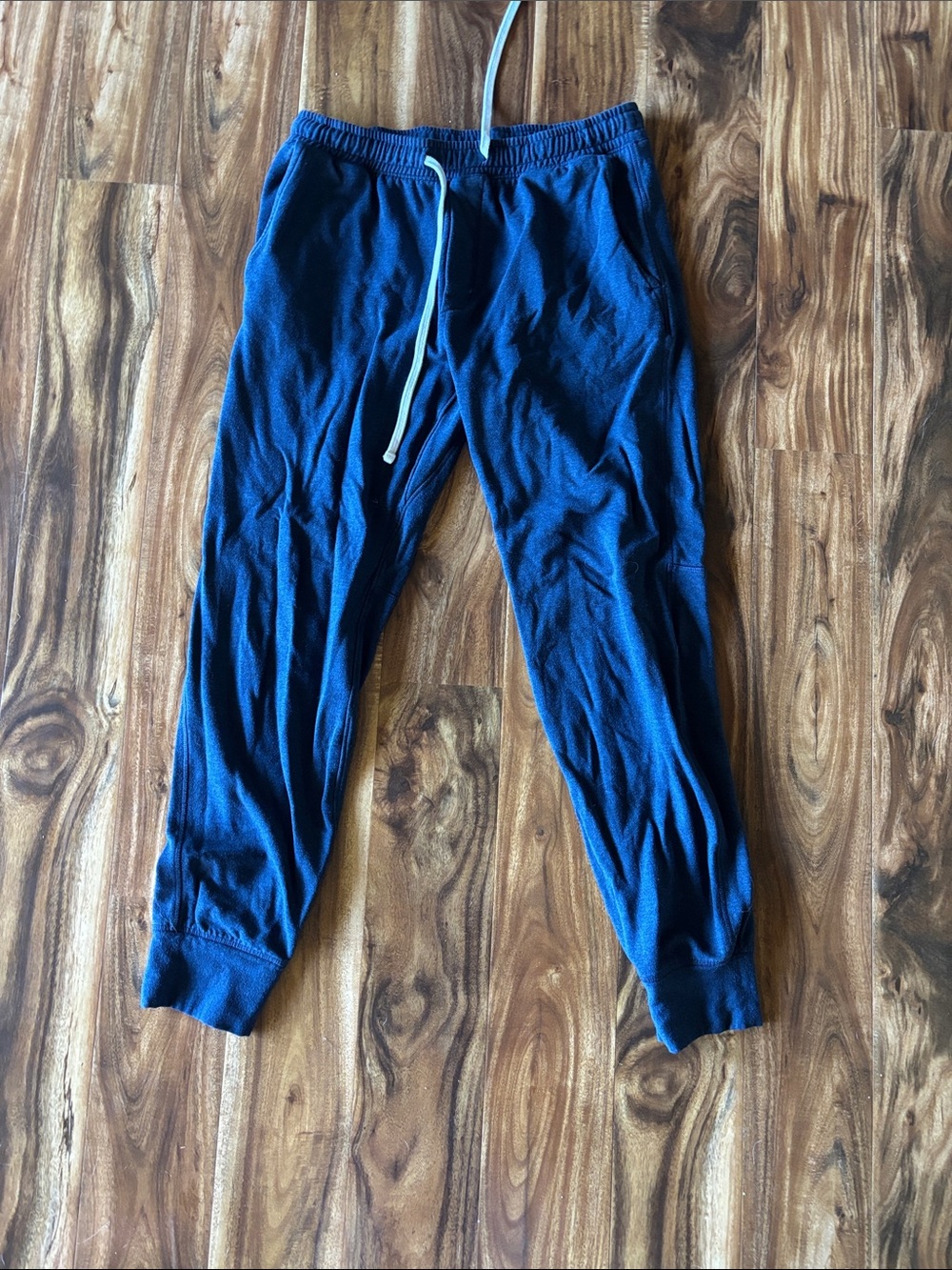 American Eagle Outfitters Dark Blue Joggers with Drawstring MTall
